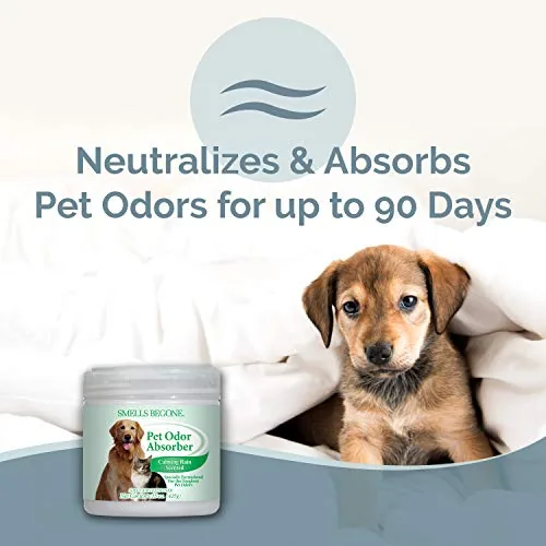 SMELLS BEGONE Pet Odor Absorber — Calming Rain, 2-Pack — view 2