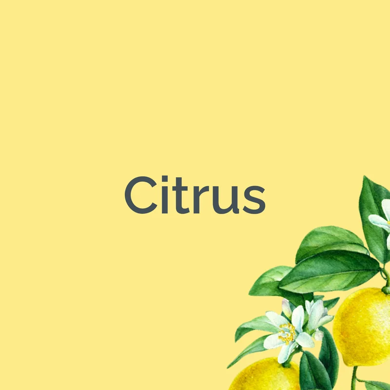 Citrus scents by SMELLS BEGONE
